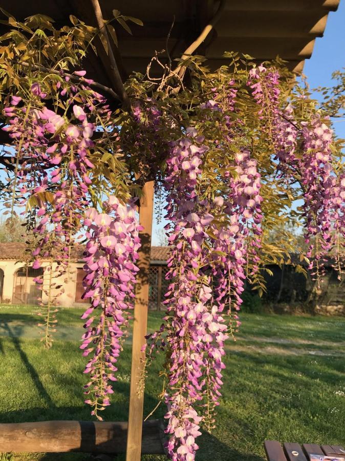 Agriturismo Corte Galvagnina Cesole エクステリア 写真