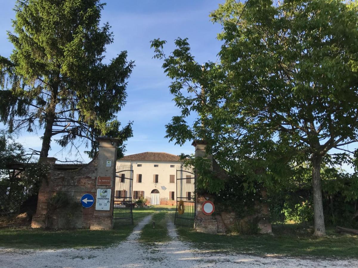 Agriturismo Corte Galvagnina Cesole エクステリア 写真